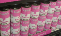 Breast Cancer Awareness Month is a clever gimmick to generate profits for corporations, including some companies that might be responsible for giving people cancer.